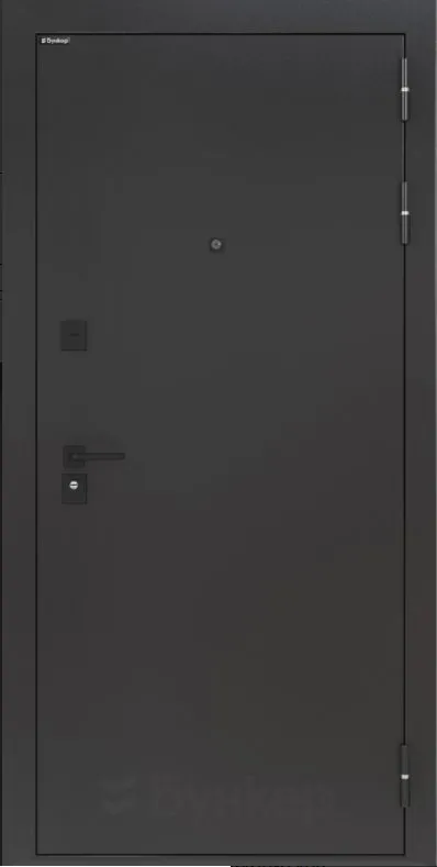 Товар Дверь BN-01.2 DIS006813